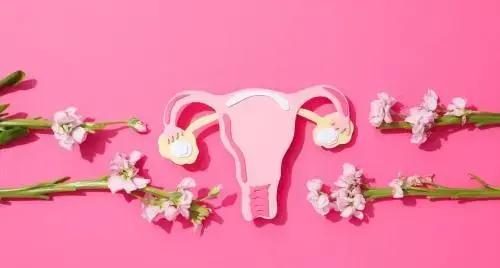 Setembro em Flor: alerta essencial sobre sintomas do câncer ginecológico