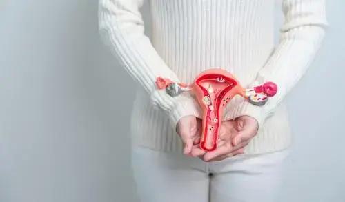 Fonte: Febrasgo.org.br